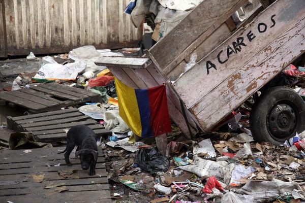 Decomiso sin precedentes de Maquinas tragamonedas en BogotÃ¡