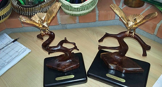 Se entregarán dos Águilas Doradas en SAGSE