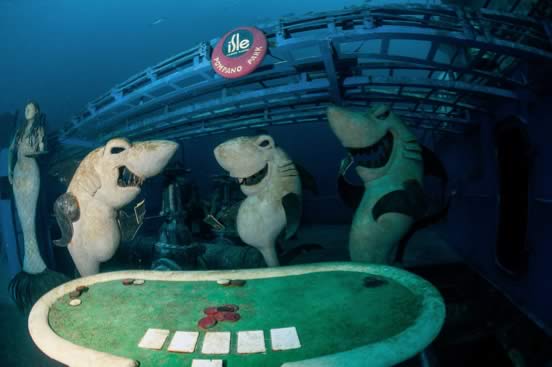 Poker tournament or shark thank?