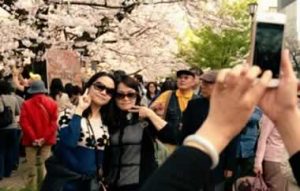 Global real estate services firm Jones Lang LaSalle (JLL) has suggested that Chinese tourists are likely to have an important role in Japan’s nascent casino industry.