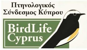 Cyprus´s city of dream in troubles