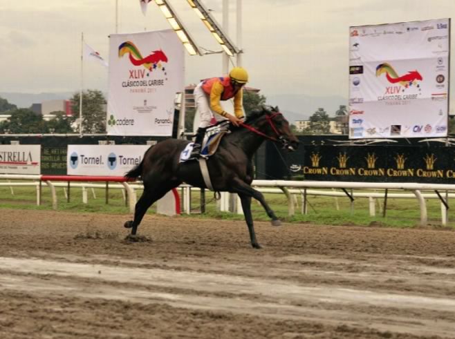 Horseracing in Colombia: even Coljuegos don´t support it