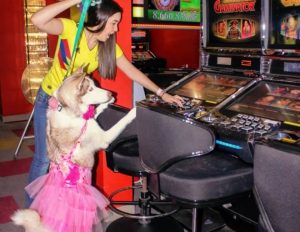 Some Colombian casinos started to understand better their players