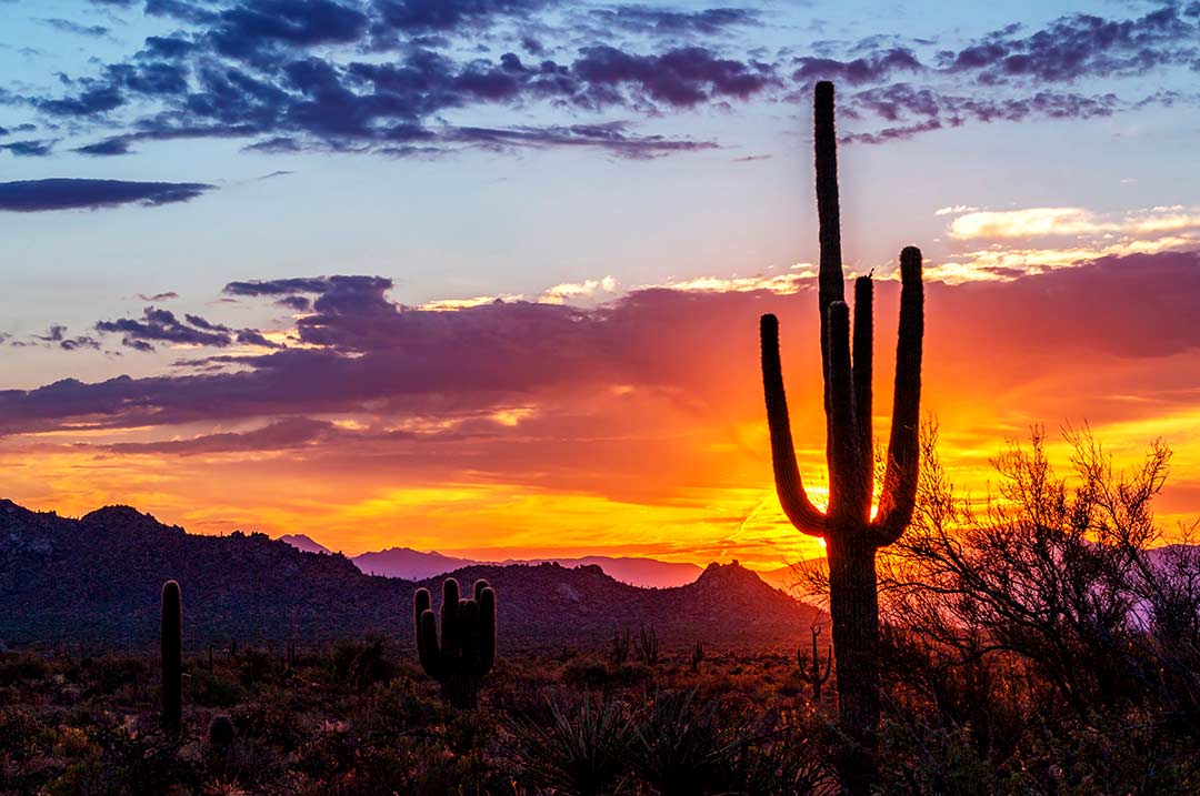 Arizona Tribal Gaming Contributions Reach $43.9M in Q1 FY 2025