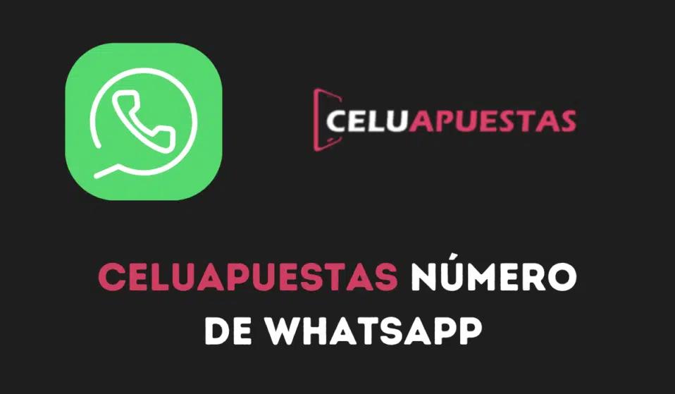 Bolivia intensifies raids on illegal gambling dens as WhatsApp casinos spread nationwide