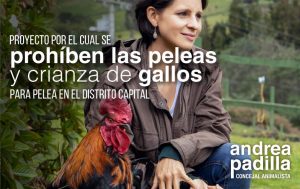 Coljuegos regularÃ­a peleas de gallos