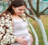 ?Cu?l es el t?rmino que tiene el empleador para solicitar el reembolso de la licencia de maternidad?