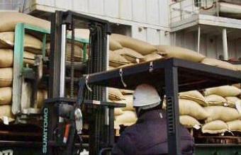 El TLC con Estados Unidos