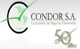 SUPERFINANCIERA ORDENA TOMA DE POSESION DE SEGUROS CONDOR