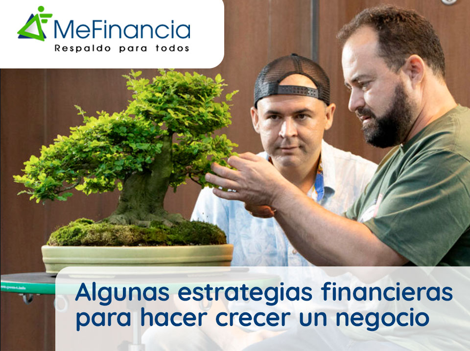ALGUNAS ESTRATEGIAS FINANCIERAS PARA HACER CRECER UN NEGOCIO