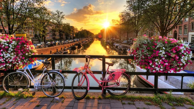 PokerStars and bwin ordered to refund poker losses to two Dutch players in nonlicensed-site cases.