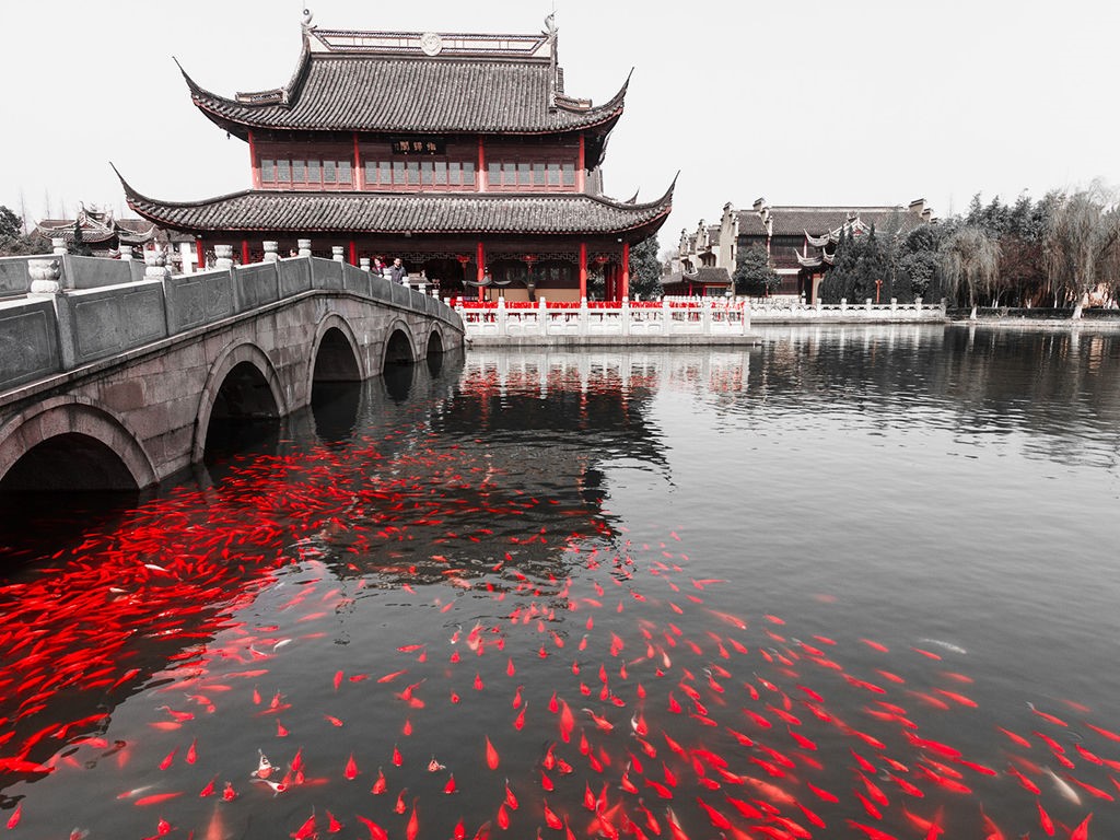 To contain the spread of COVID-19, Jiangsu  Province has suspended 45,371 poker lounges